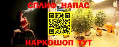 PSILOCYBIN Ставрополь