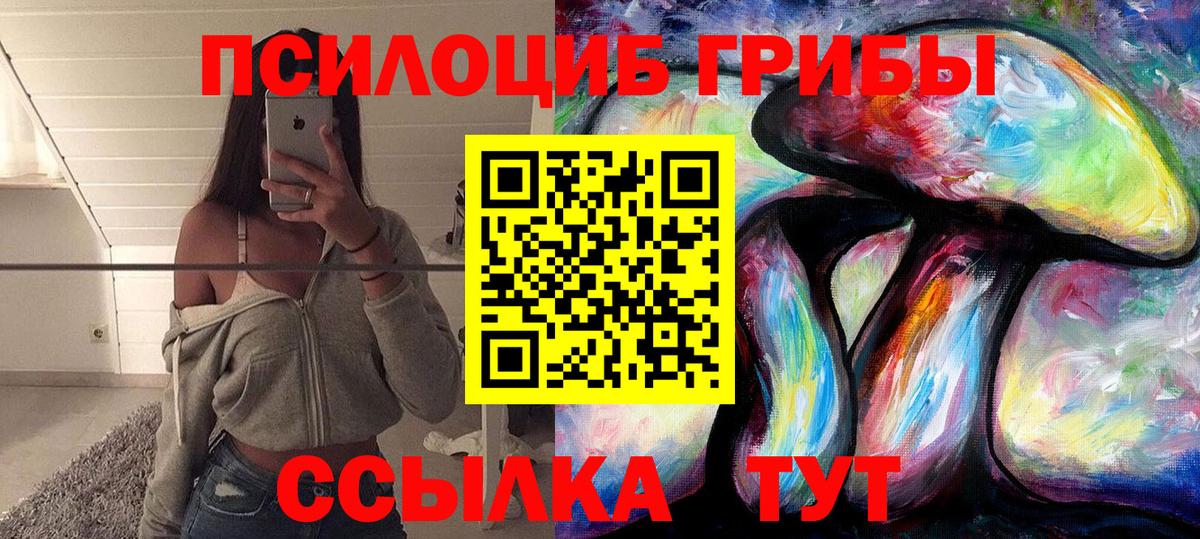 Александров  Псилоцибиновые грибы мухоморы  Вход с VPN 
