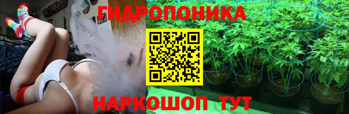 Бошки Шишки Ganja  Шишки марихуана индика  Вход с VPN  Александров  Канабис Amnesia 